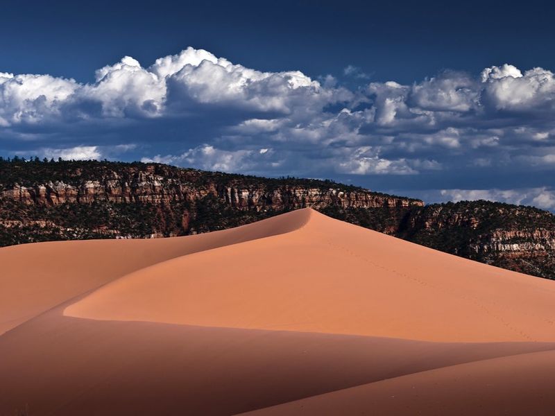 Coral Pink Sand Dunes State Park: Ever-Changing Desert Canvas
