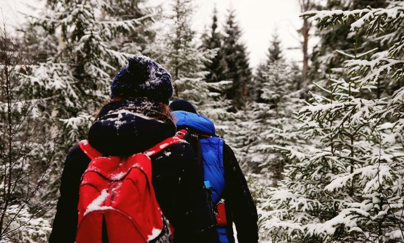 Romantic Winter Escapes In Maryland Perfect For Two - Decor Hint Backbone Mountain