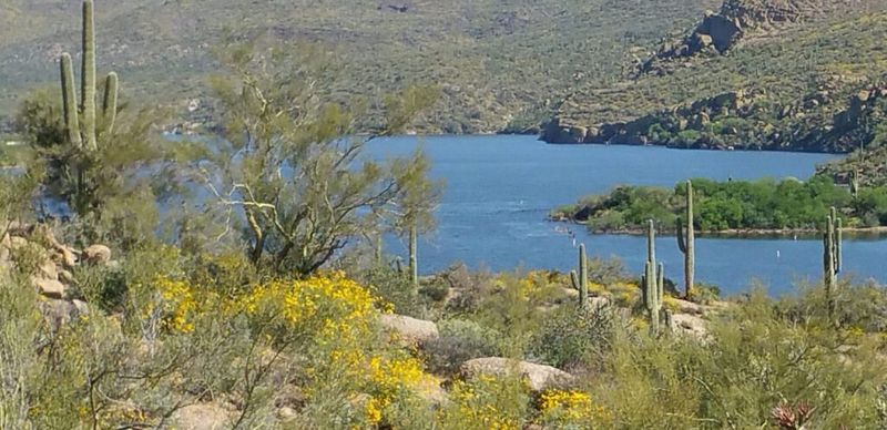 12 Beautiful Lakes Near Phoenix That Locals Hope Tourists Never Discover - Decor Hint Bartlett Lake