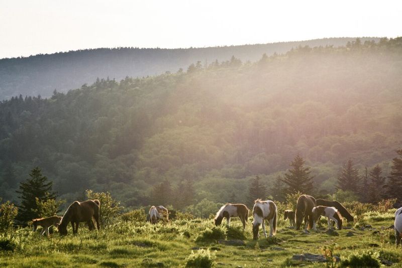 James River Valley Equestrian Route