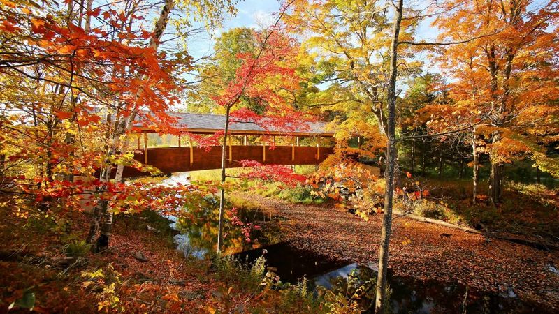 20 Cozy Fall Dates In New York's Most Enchanting Places - Decor Hint Stroll The Foliage At Hudson Valley Rail Trail