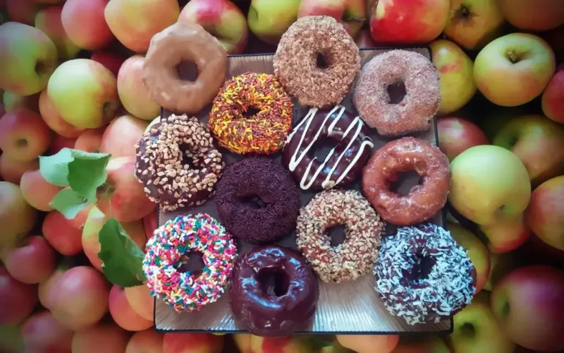 13 Hidden Cider-Donut Spots In California That Smell Like Autumn - Decor Hint High Hill Ranch, Placerville, CA