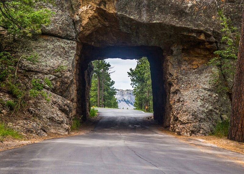 14 Scenic Weekend Drives Across Illinois That Are Worth The Time Off - Decor Hint Tunnel Hill State Trail Scenic Route