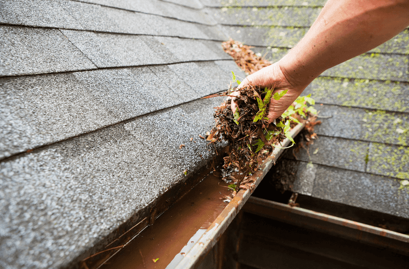 The Alabama Home Fix Locals Say Actually Stops Mold - Decor Hint Clean Gutters and Downspouts Regularly