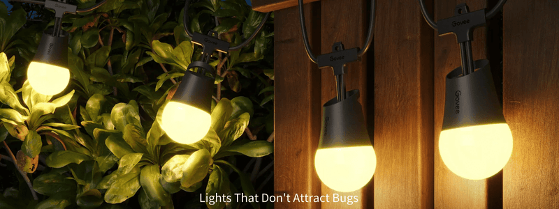 13 Easy Ways To Stop Pests From Invading Your Wyoming Home Before Fall - Decor Hint Install Yellow or Sodium Vapor Outdoor Lights