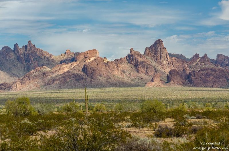 Kofa National Wildlife Refuge