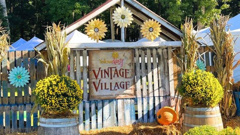 Yellow Daisy Festival – Stone Mountain