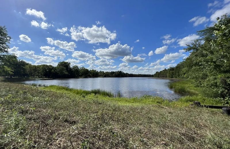 Escape The Crowds At These 16 Quiet Lakes In New Jersey - Decor Hint Batsto Lake
