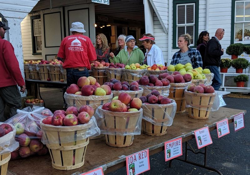 National Apple Harvest Festival, Biglerville