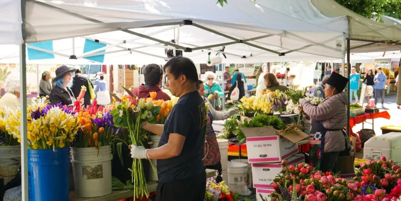 13 Weekend Markets In Seattle Perfect For Foodies And Shoppers Alike - Decor Hint University District Farmers Market