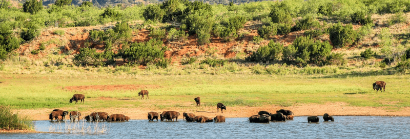Caprock Canyons State Park