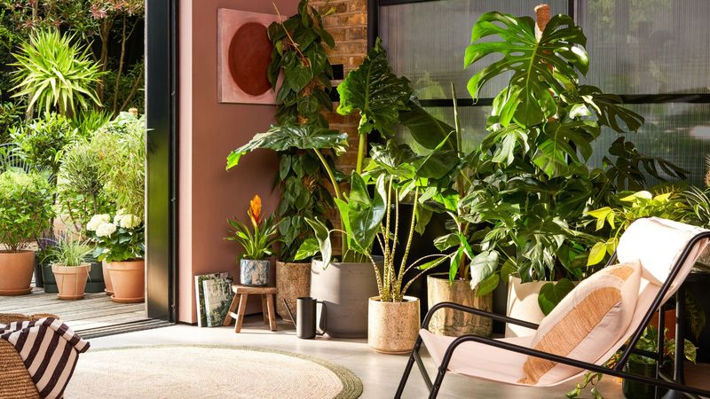 Tropical Sunroom Paradise in Miami