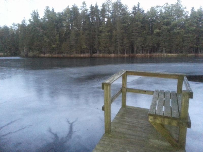 Escape The Crowds At These 16 Quiet Lakes In New Jersey - Decor Hint Pakim Pond