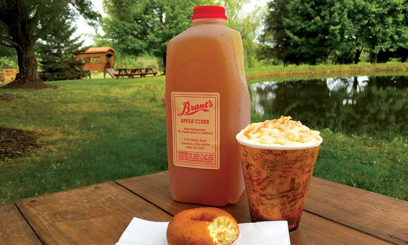 17 Ohio Cider-Donut Stands Locals Say Are Totally Worth The Turnoff - Decor Hint Brant's Apple Orchard - Ashtabula