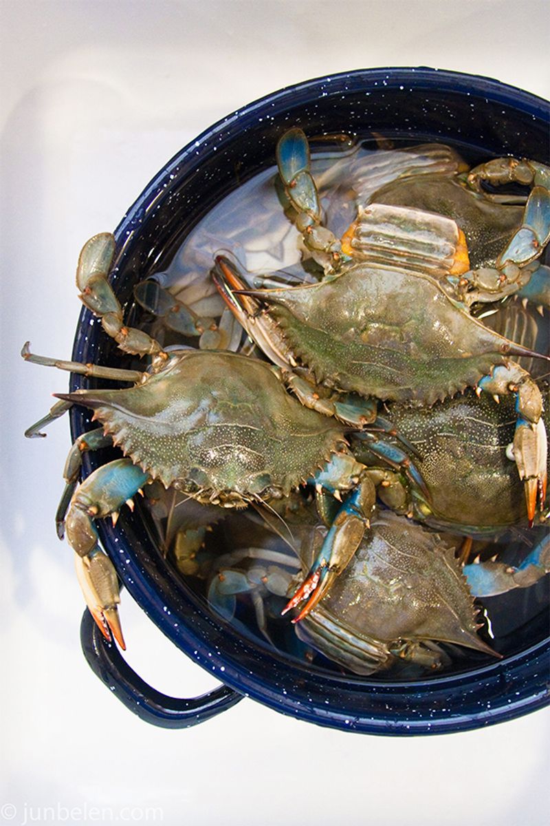 Mr. Big's Seafood Market - Nags Head