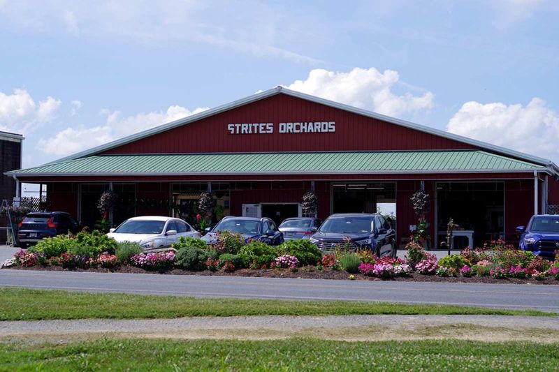 14 Pennsylvania Spots Serving Fresh, Warm, And Perfect Cider Donuts - Decor Hint Strites Orchard, Harrisburg