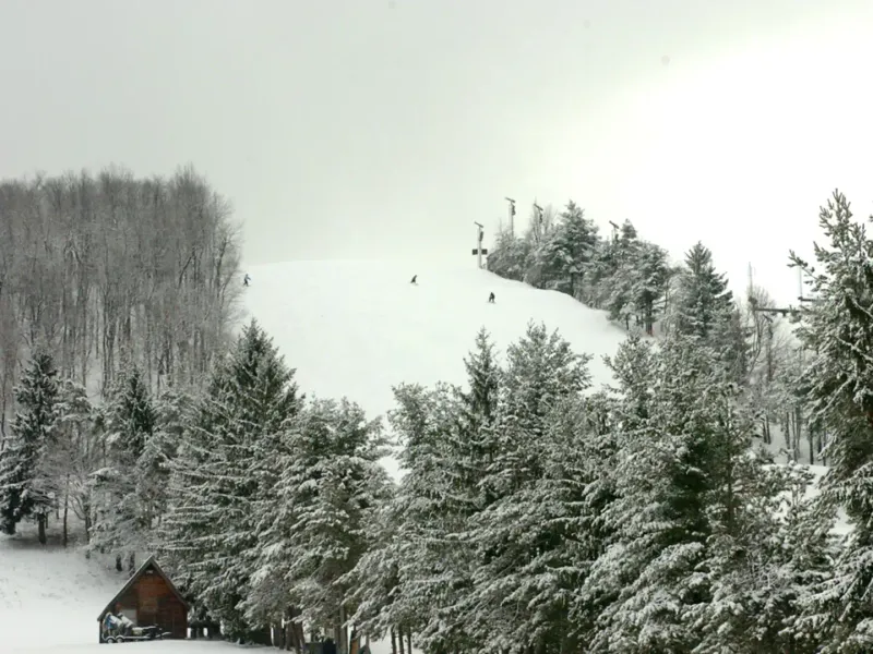 Romantic Winter Escapes In Maryland Perfect For Two - Decor Hint Savage River State Forest