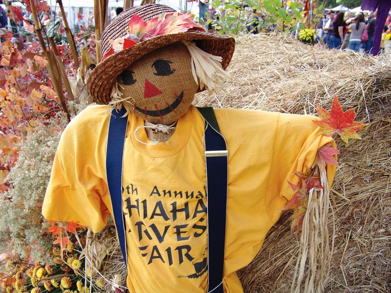 Chiaha Harvest Fair – Rome