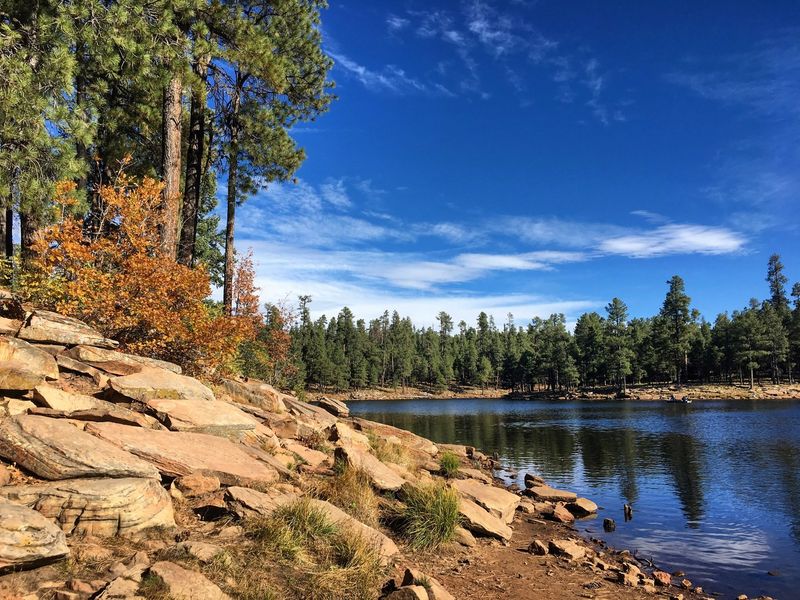16 Off-The-Radar Lakes In Arizona Worth Discovering - Decor Hint Woods Canyon Lake