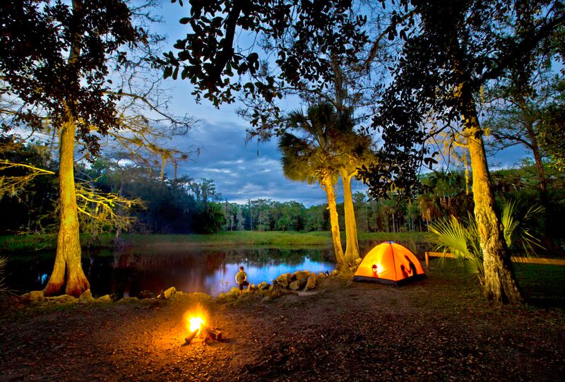 Outdoor Activities To Enjoy In Tampa With Friends Or Family - Decor Hint Camping Under the Stars
