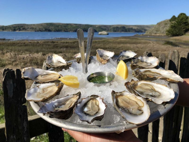 The Best Things We Ate In September In California - Decor Hint Oysters at Hog Island Oyster Co. in Marshall