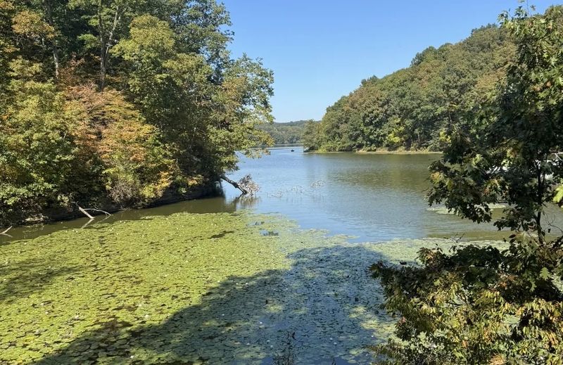 Lake Breezes That Energize