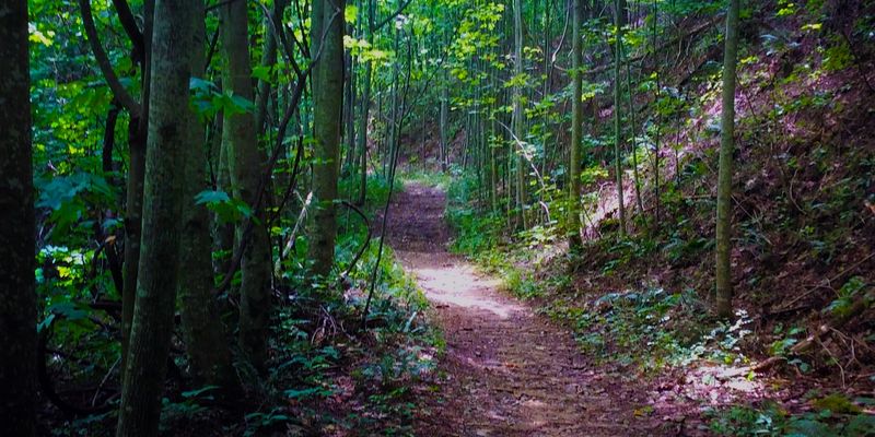 Recharge Your Soul In Blue Ridge, Georgia - Decor Hint Aska Trails Area