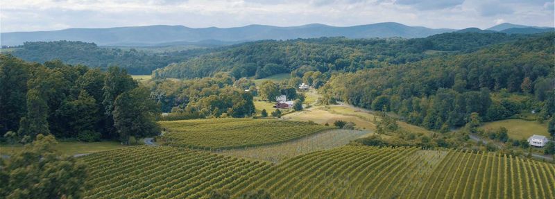 Shenandoah Valley Wine Loop