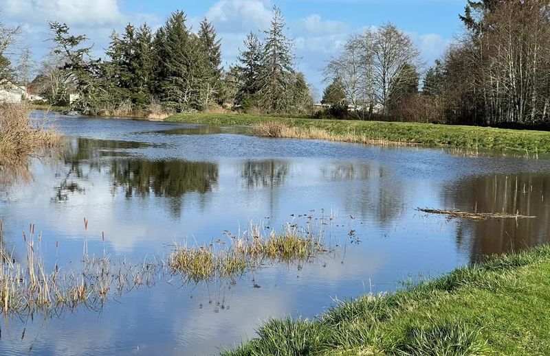 Explore The Charming Coastal Town That Marks The End Of The Oregon Trail - Decor Hint Skipanon River Wildlife Area