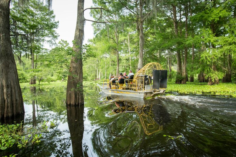 Nearby Wildlife & Swamp Tours