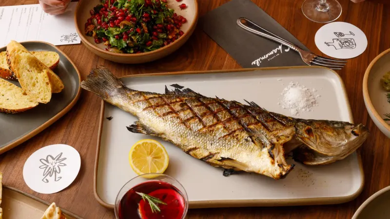 Washington's Hit List And The Hottest New Restaurants You Need to Try Right Now - Decor Hint Intimate Vibes: My Little Chamomile's Quiet Turkish Escape