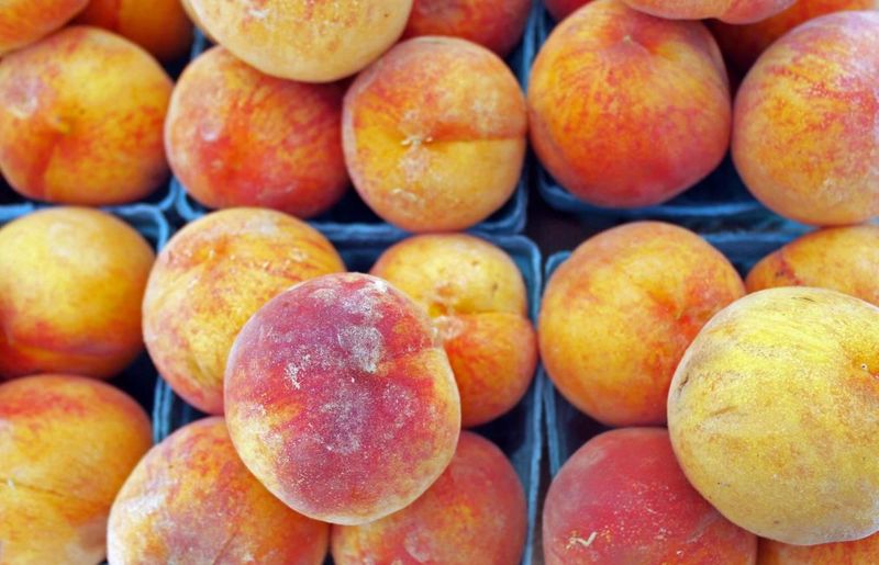 14 North Carolina Farmers Markets So Good You'll Never Go Back To Store Bought - Decor Hint Fayetteville Farmers Market