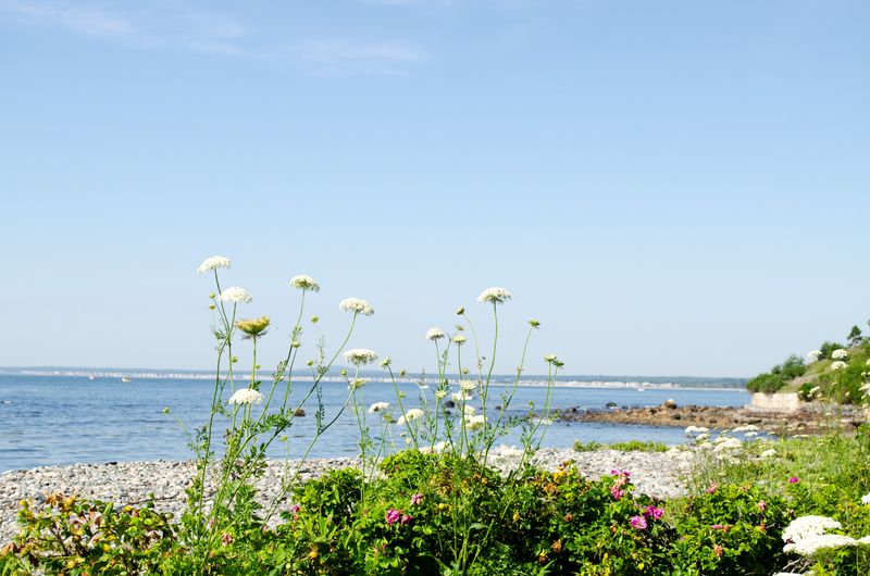 Kennebunkport
