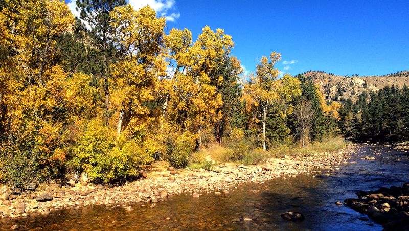 Where To Catch The Last Fall Colors In Colorado Before They're Gone - Decor Hint Poudre Canyon, West Of Fort Collins
