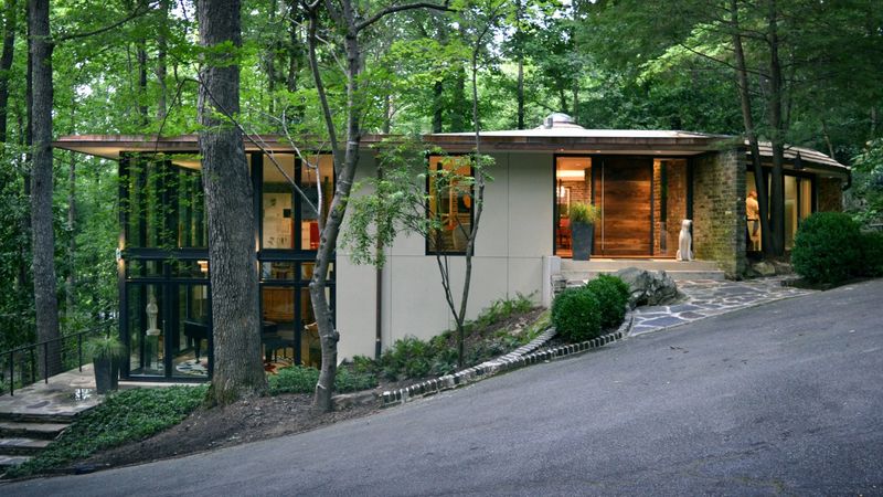 Retro Cool: Mid-Century Modern Treasures