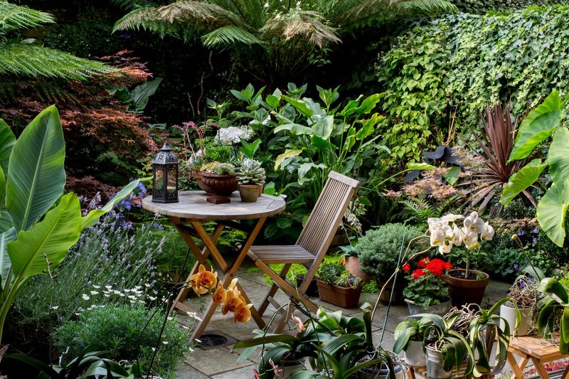 Tropical Garden Escape