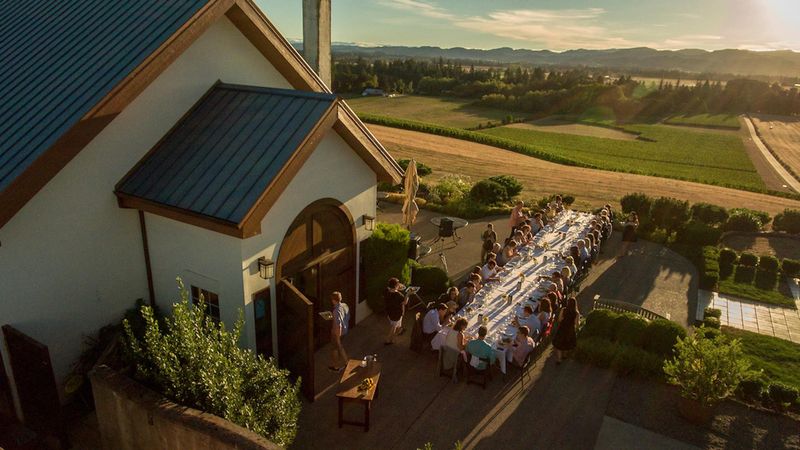 10 Oregon Wineries Where Harvest Season Means Fun For Everyone - Decor Hint Anne Amie Vineyards