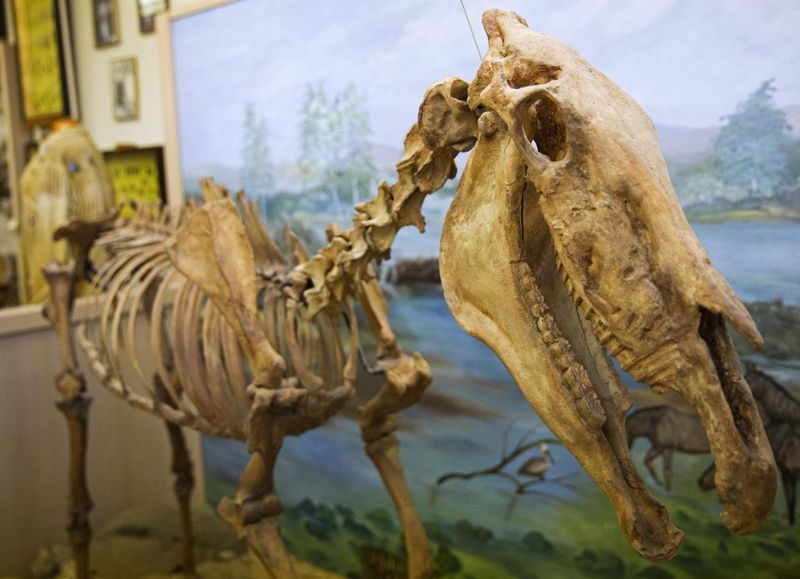 Hagerman Fossil Beds