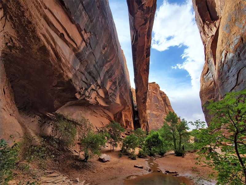 Trails In Utah That Show Why Hiking Here Is Unforgettable - Decor Hint Grandstaff Canyon (Negro Bill Canyon) near Moab