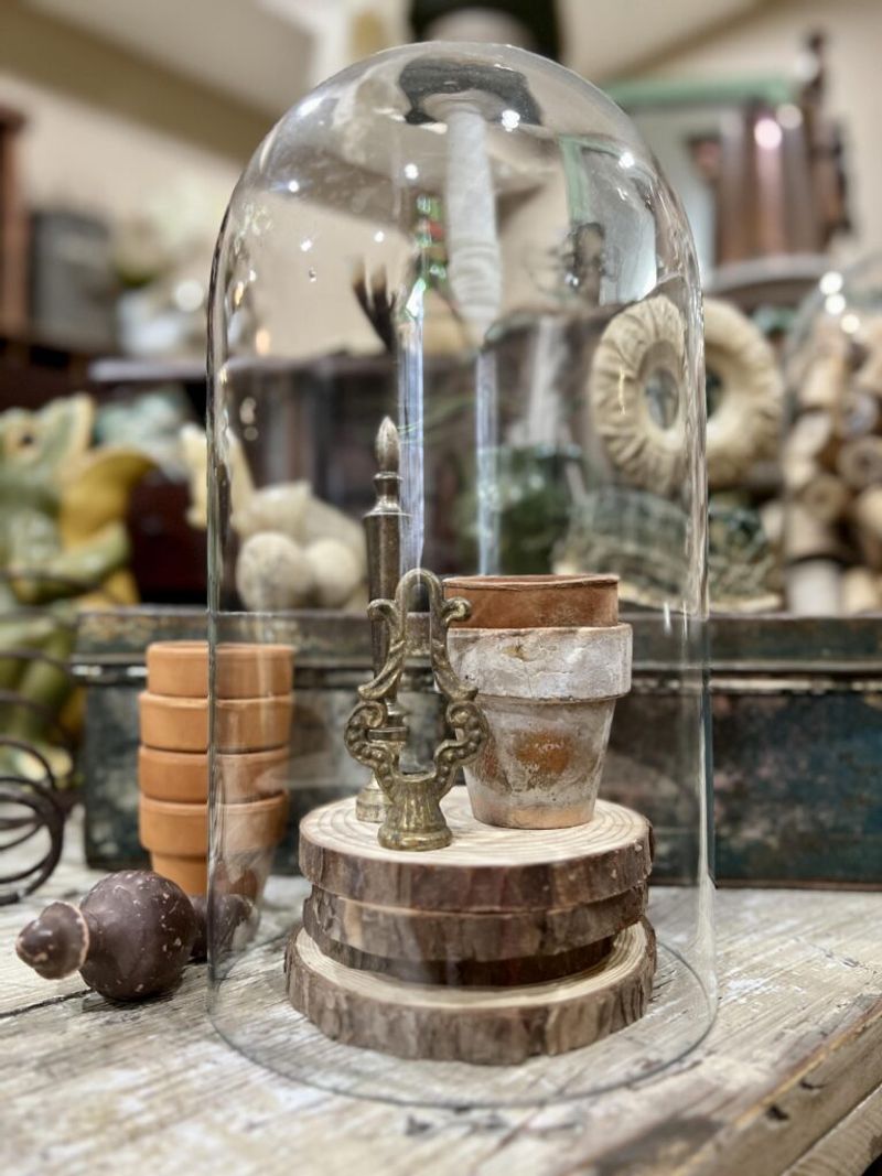 Top Vintage Treasures Every Indiana Collector Wants Right Now - Decor Hint Glass Cloches