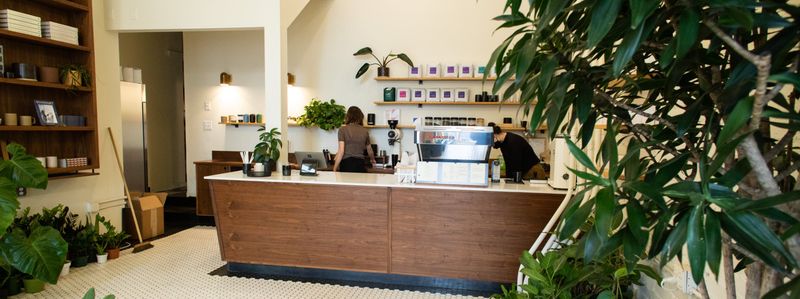 Root Coffee & Plants – Ballard, Seattle