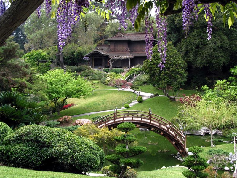 The Huntington Botanical Gardens: A Paradise of Collections