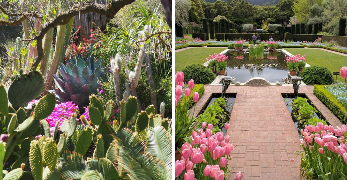 California Gardens That Bloom Into Living Art Across The State - Decor Hint