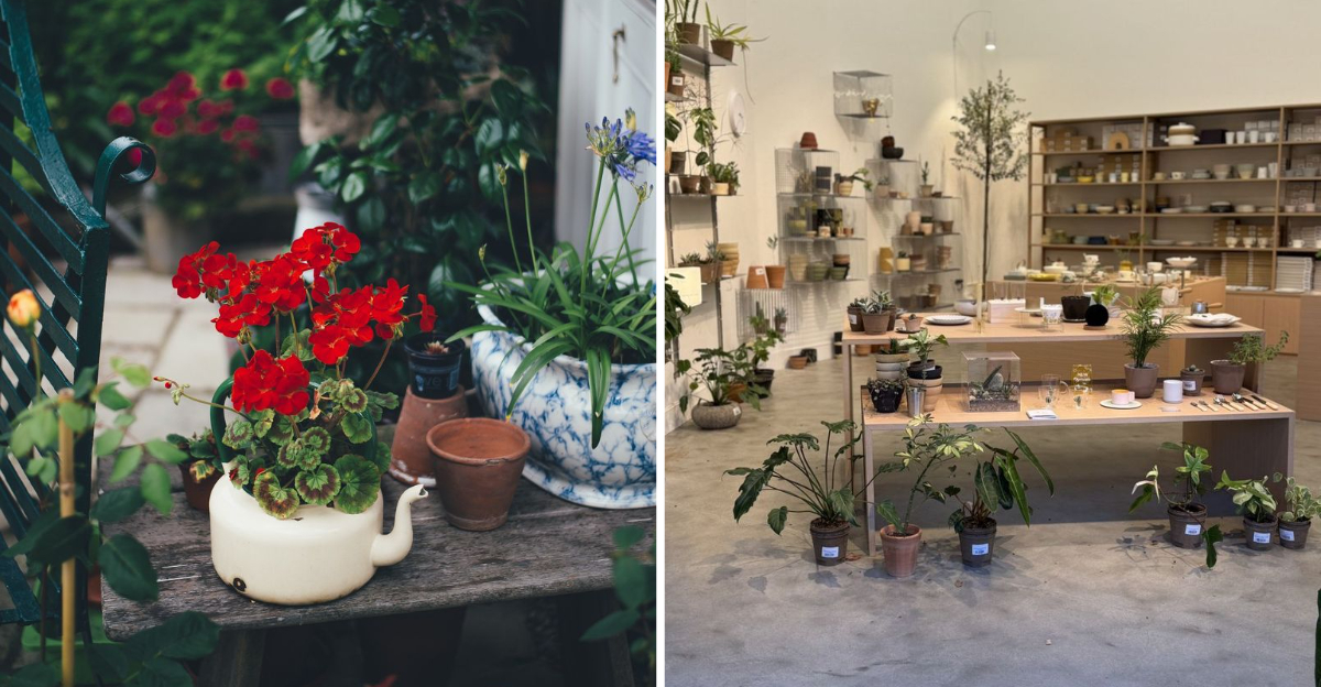 California Houseplant Stores That Turn Plant Shopping Into An - Decor Hint