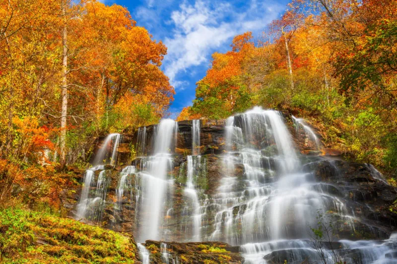 Amicalola Falls State Park