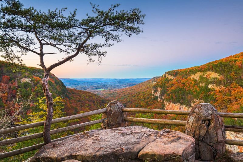 Cloudland Canyon On Lookout Mountain