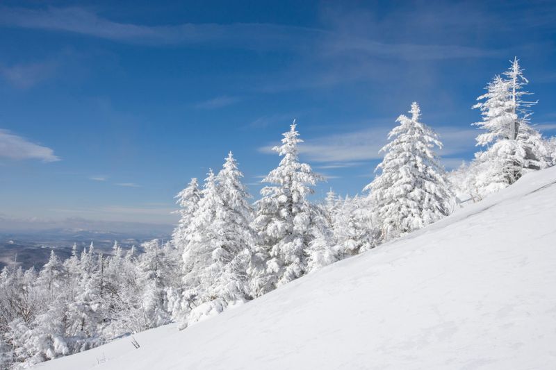 New Hampshire's Overlooked State Park Hides Epic Trails And Unforgettable Mountain Views - Decor Hint Winter Conditions & Gear You'll Want