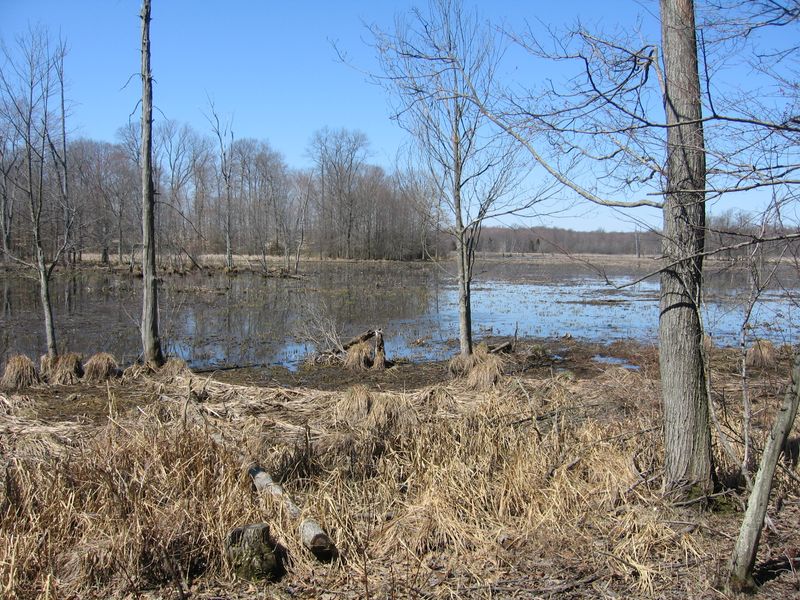 11 Weekend Getaways From New Jersey Filled With Adventure And Nature - Decor Hint Morristown