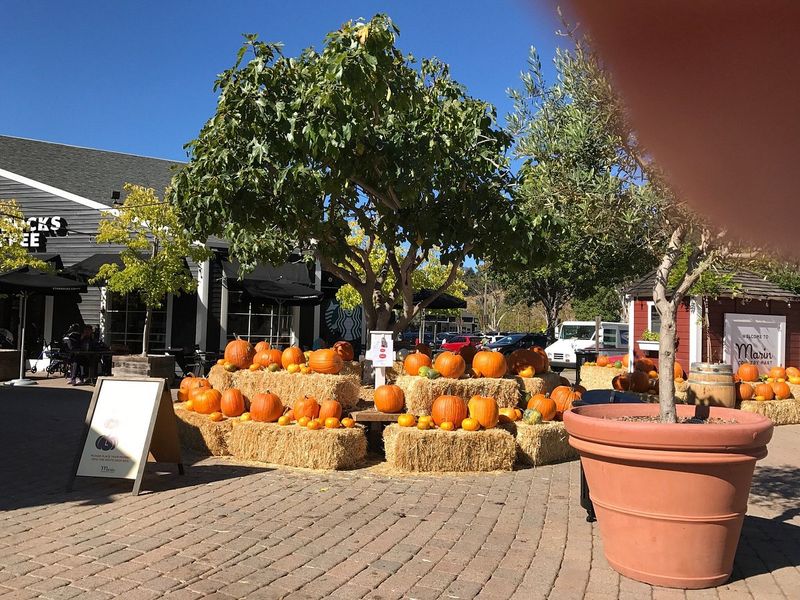 Northern California's Best Flea Markets For Rare Finds And Vintage Charm - Decor Hint Marin Country Mart Farmers Market & Flea