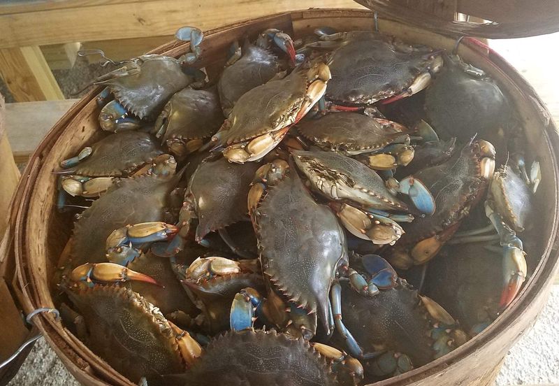 Seaview Crab Company - Wilmington
